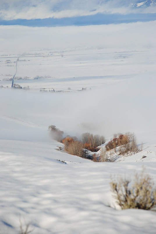 Looking at dry vegetation in the snow in the foreground. In the background snow and clouds make the valley almost disappear.