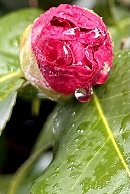 Advice from a Raindrop