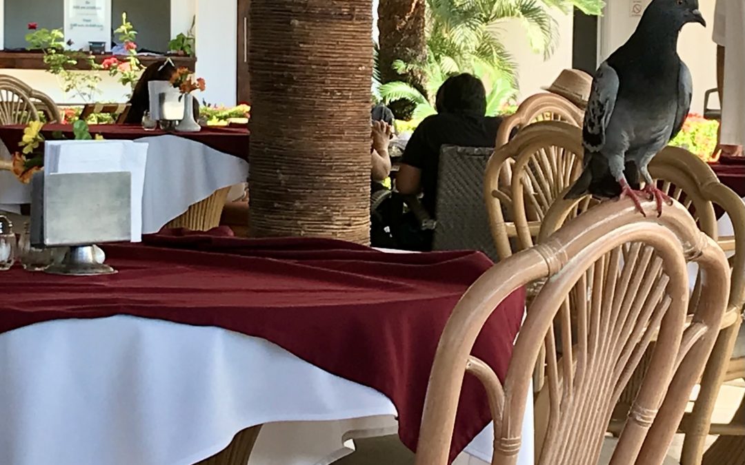 Love Elegy with Busboy