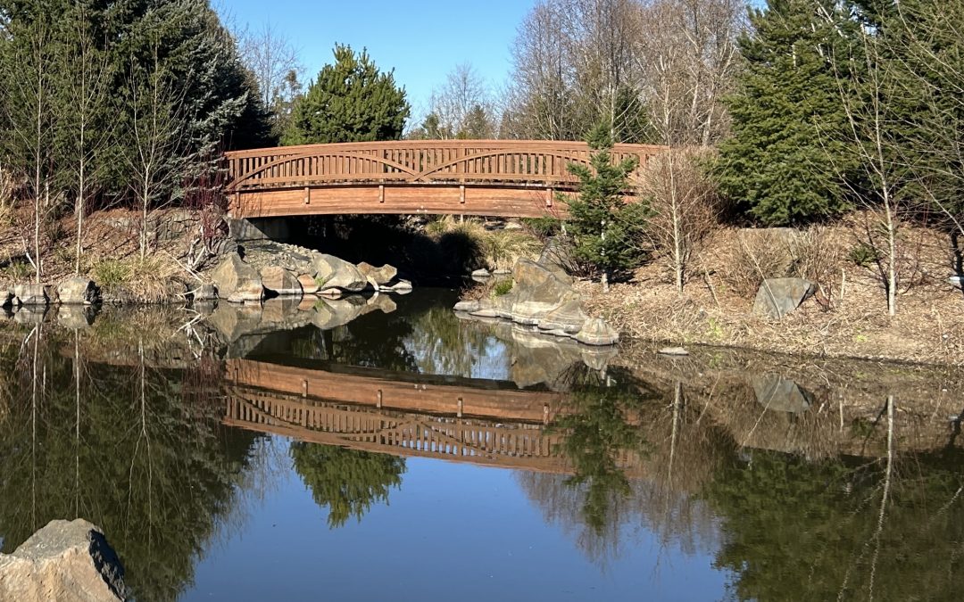 The Listening Bridge