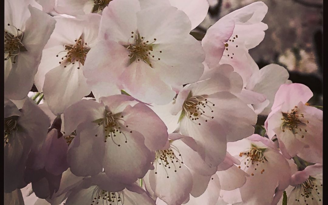 In Early April